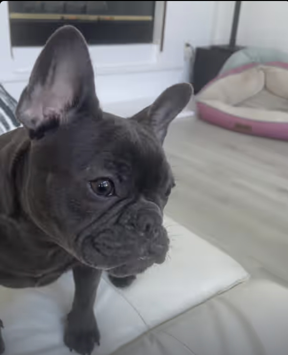 Have a Beautiful Day Everyone !